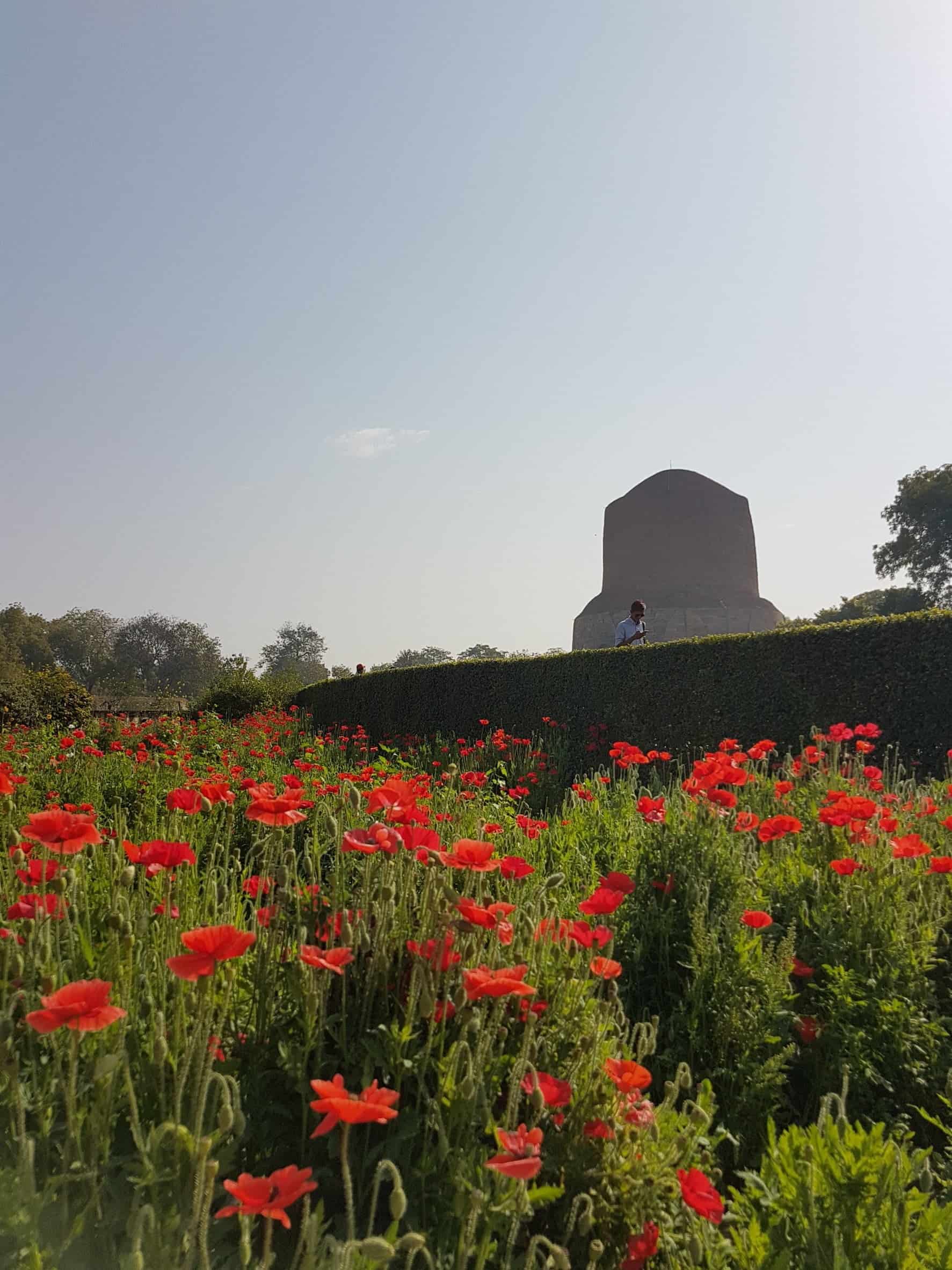 19กพ62_190404_0017